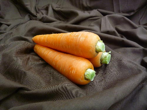 春茶　謎の生物　にんじんを添えて 春にんじん10kg / にんじん ニンジン 野菜 β-カロテン 食物繊維 抗酸化